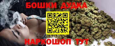 гидра Кингисепп