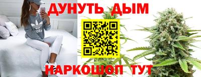 гидра Кингисепп