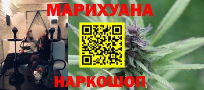 гидра Кингисепп